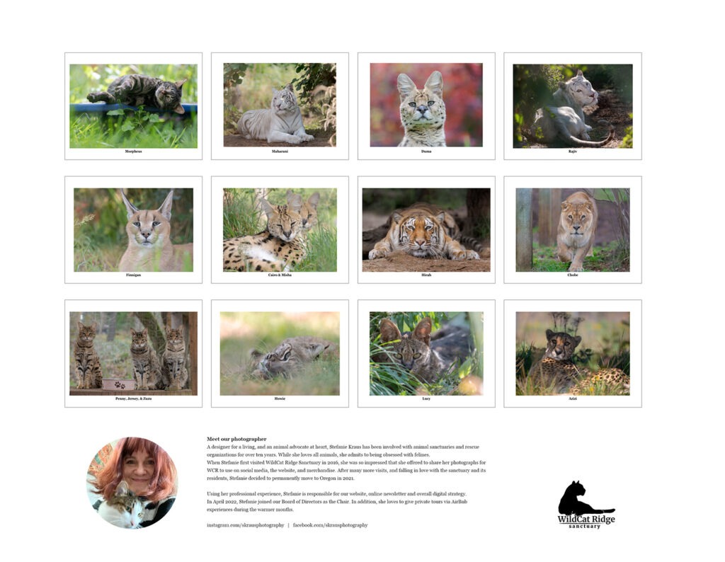 WildCat Ridge Sanctuary 2025 calendar back