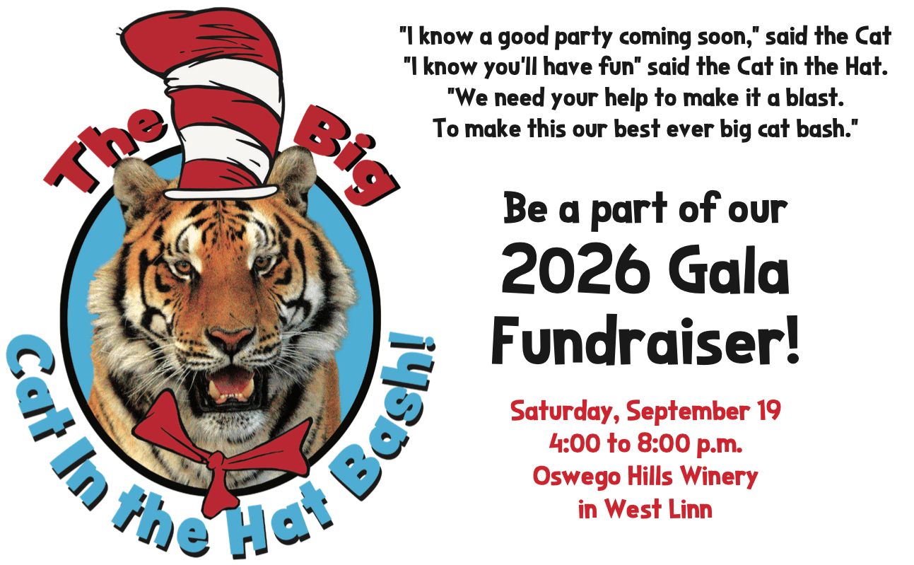 2026 Gala header