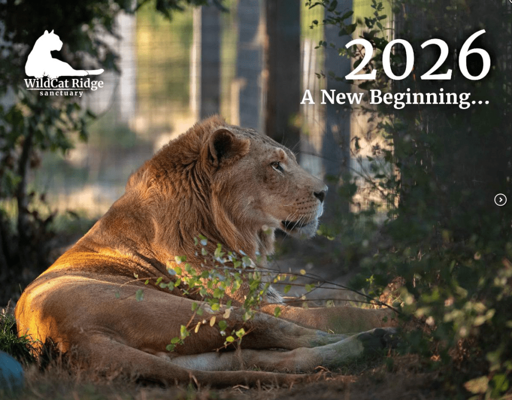 WildCat Ridge Sanctuary 2026 calendar front