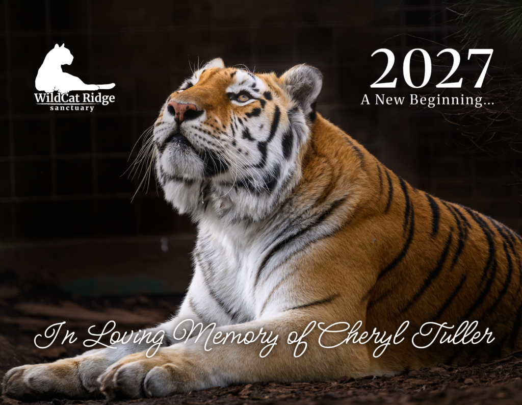 2027 WildCat Ridge Sanctuary Calendar cover