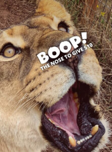 Boop Chobe!