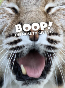 Boop Cujo!