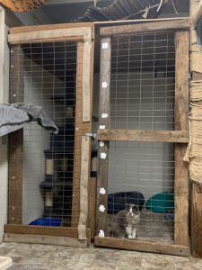 Quarantine enclosure with Mabel