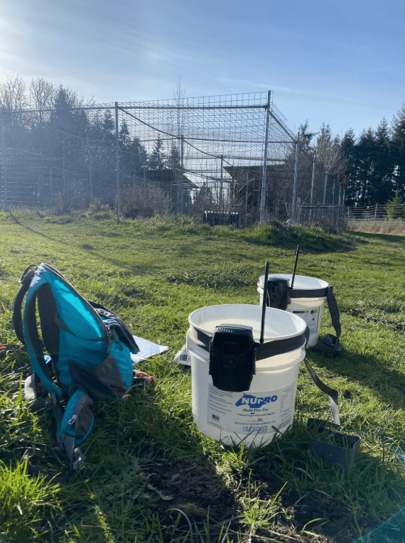 A Day in the Life of an Intern at WildCat Ridge Sanctuary