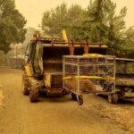 Evacuation - Cougar Transport