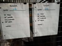 Evacuation - Daily Sheets