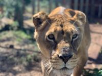 Chobe