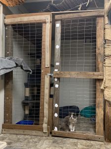 Quarantine After Surgery