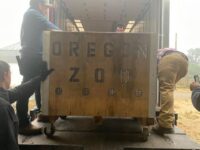 Evacuation - Oregon Zoo