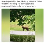 Cairo sighting after escape