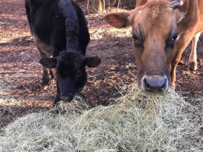 Betty and Curly