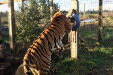 Hobbes