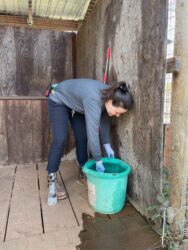 Intern at WildCat Ridge Sanctuary