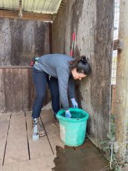 Intern at WildCat Ridge Sanctuary