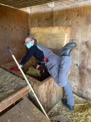 Intern at WildCat Ridge Sanctuary