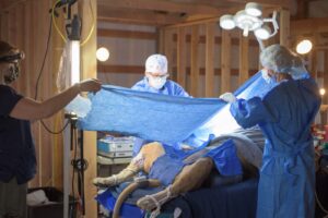 Prep for Kariba Spay Prep for Kariba Spay