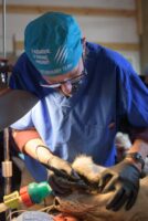 Kariba Dental Kariba Dental