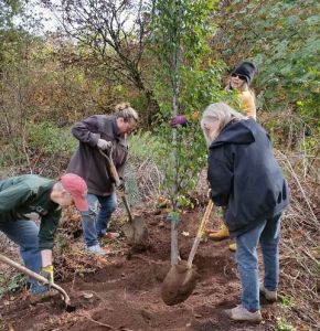 Digging holes