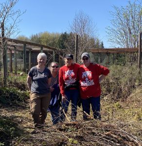 Wonderful helpers!