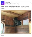 Escaped Savannah
